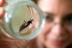 El CONICET desarrolla una vacuna preventiva contra la enfermedad de Chagas