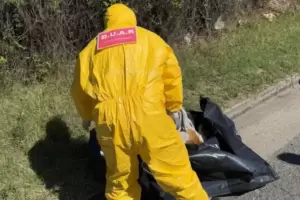 Lamentable: mataron a un perro de un tiro en plena calle