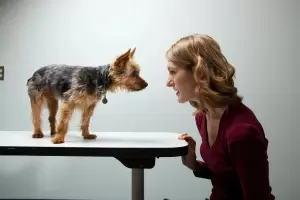 Estudio cientfico confirma que los perros se parecen a sus dueos