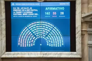 El Gobierno logr darle media sancin a la suspensin de las PASO