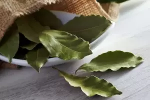 Cmo es el ritual de quemar hojas de laurel para atraer el dinero en agosto, segn el Feng Shui