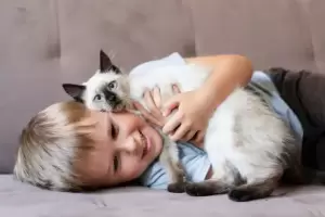 Cunto tiempo tardan los gatos en olvidar a sus dueos?