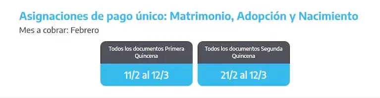 Cuándo cobro las asignaciones de pago único en febrero (Foto: ANSES)