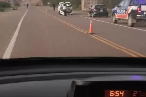 Un vuelco y un choque por animales sueltos en la Ruta Nacional 40