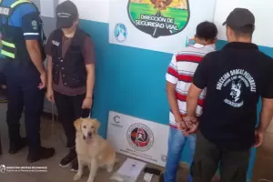 Pasajero de un colectivo de larga distancia fue detenido con droga