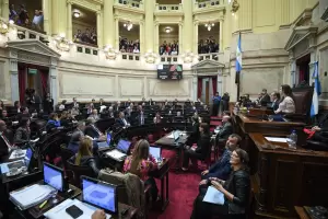 Suspensin de las PASO: el Senado debate en comisin y el oficialismo se ilusiona con otra victoria