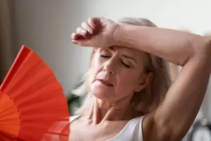 Cul es el probitico natural que ayuda a aliviar los sntomas de la menopausia segn los especialistas