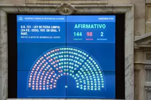 Diputados le dio media sancin al proyecto de Ficha Limpia y ahora define el Senado