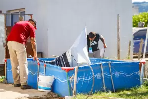 Continan las medidas de prevencin para evitar la proliferacin del Aedes Aegypti