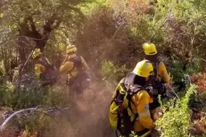Brigadistas catamarqueos luchan contra los incendios en la Patagonia