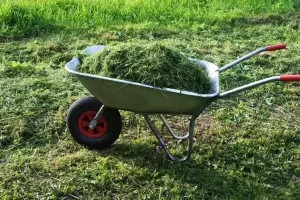 El truco para mejorar tu jardn utilizando el csped recin cortado