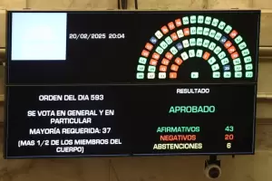 El Senado convirti en ley la suspensin de las elecciones primarias