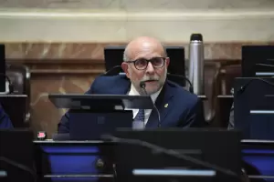 Para Fama, la suspensin de las PASO beneficia a la casta