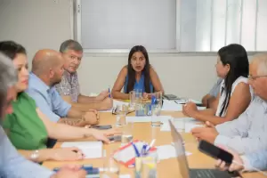 Senadores debatieron la suspensin de las PASO