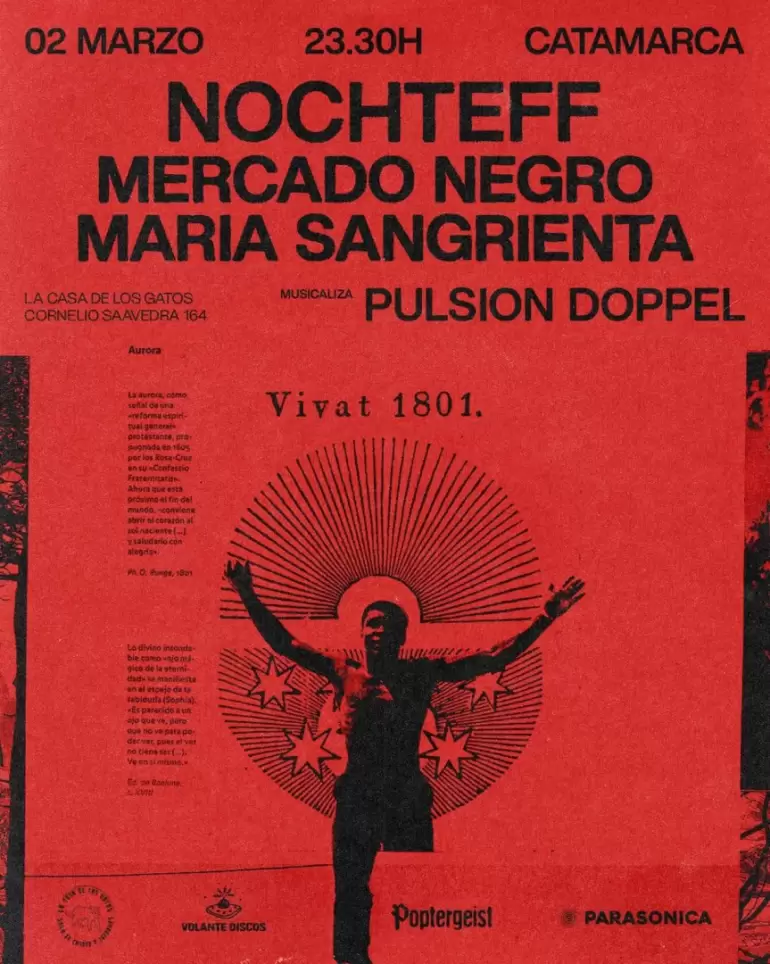 flyer casa de los gatos