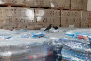 Denuncian que Capital Humano retiene tiles escolares y comida "por pudrirse"