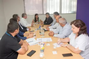 Se avanza en el anlisis del proyecto para suspender las PASO