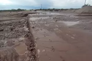 Transitar con precaucin por rutas provinciales en Pacln y Fiambal