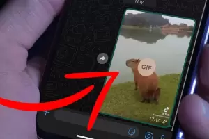 Cmo hacer un GIF para WhatsApp con un video de tu propio celular?
