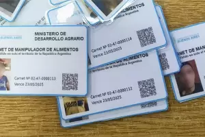 Ca�da del SIFeGA: no se emiten carn� de manipulaci�n de alimentos