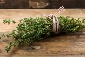 Cmo usar el tomillo para atraer prosperidad a la casa?