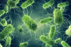 Por brote de salmonella, convocan en Tinogasta a quienes hayan tenido sntomas