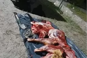 Decomisan carne vacuna y arrestan a una persona