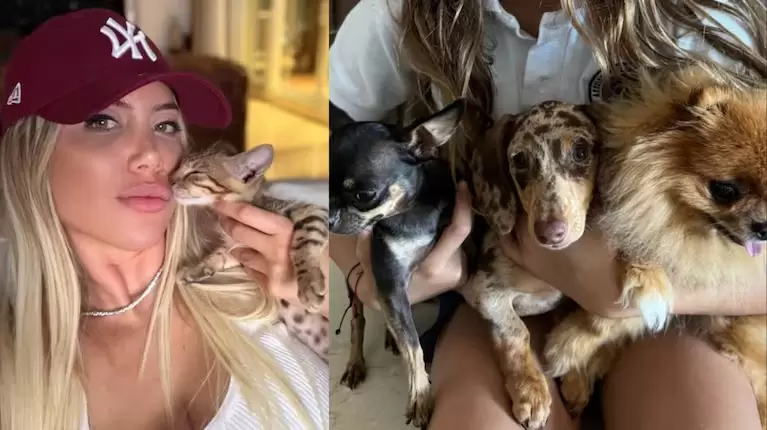 novela icardi wanda pelea