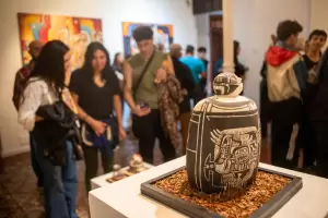 El Museo de Bellas Artes inaugur la muestra "Cuando la tierra no es un territorio"