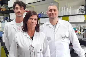 Hallazgo de cientficos argentinos desarrollara una terapia contra el Alzheimer