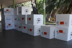 Vacunas antigripales: Catamarca recibi 9 mil dosis