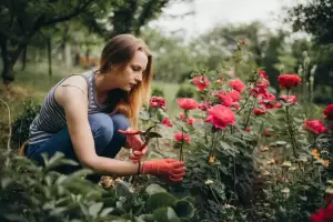 Las tres mejores flores para principiantes que pods sembrar en septiembre y llenar de color tu jardn