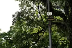 Instalaron altavoces para prevenir delitos: "No arranque las plantas"
