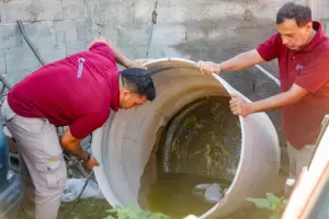 Control focal: cronograma semanal en Capital