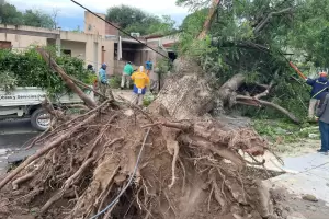 Graves destrozos en el Valle Central tras la tormenta de la madrugada