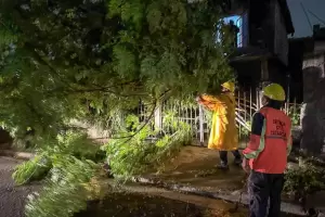 Tormenta en el Valle Central: confirman que no hay personas lesionadas o evacuadas