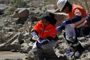 Cunto gana un ingeniero en minas en argentina 2025?