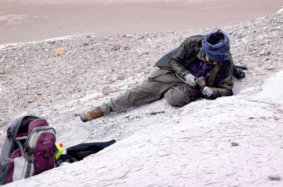 Matas Armella es el primer autor del trabajo sobre el mamfero prehistrico/INS