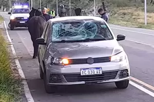 Ruta n 1: caballo provoc un grave accidente