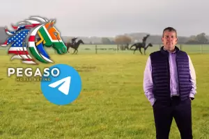 La mejor manera de ganar dinero con las carreras de caballos: La Gu�a de Pegaso