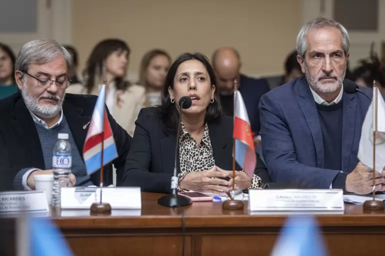 consejo federal de cultura (6)