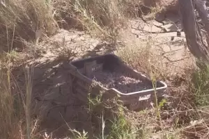 Fiambal: prdidas millonarias en la produccin de pasas de uva