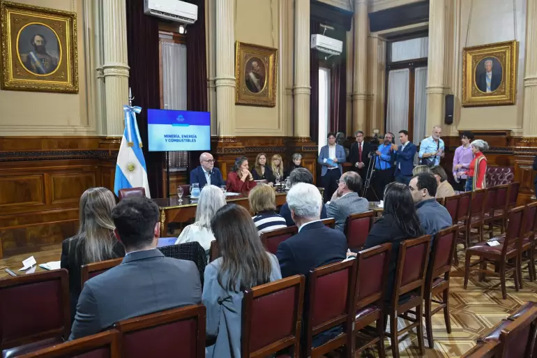 Fama como presidente de Miner�a