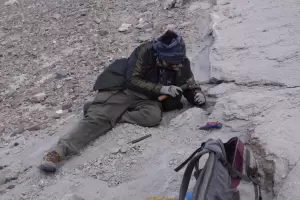 Exponen el fsil de una especie prehistrica hallada en la Puna catamarquea