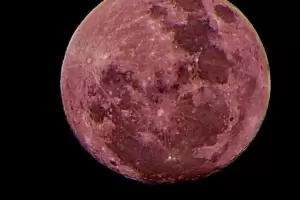 Maana habr noche de Pink Moon en la Casa de la Puna