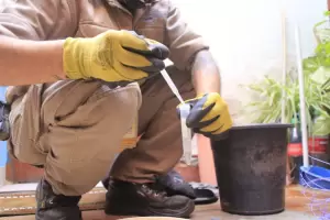 Dengue en Catamarca: cronograma de control focal