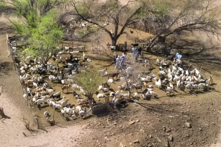 Prrroga para el envo de resmenes al 48 Congreso Argentino de Produccin Animal