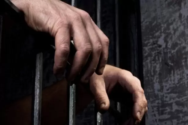 Ofensiva judicial contra el delito intramuros: piden prohibir el uso de celulares en las c�rceles