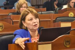 Para Adriana Daz, el ajuste fiscal de Milei "lo pagan las provincias"