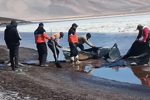 Limpieza en la cordillera: preocupan los residuos en la zona de Laguna Verde
